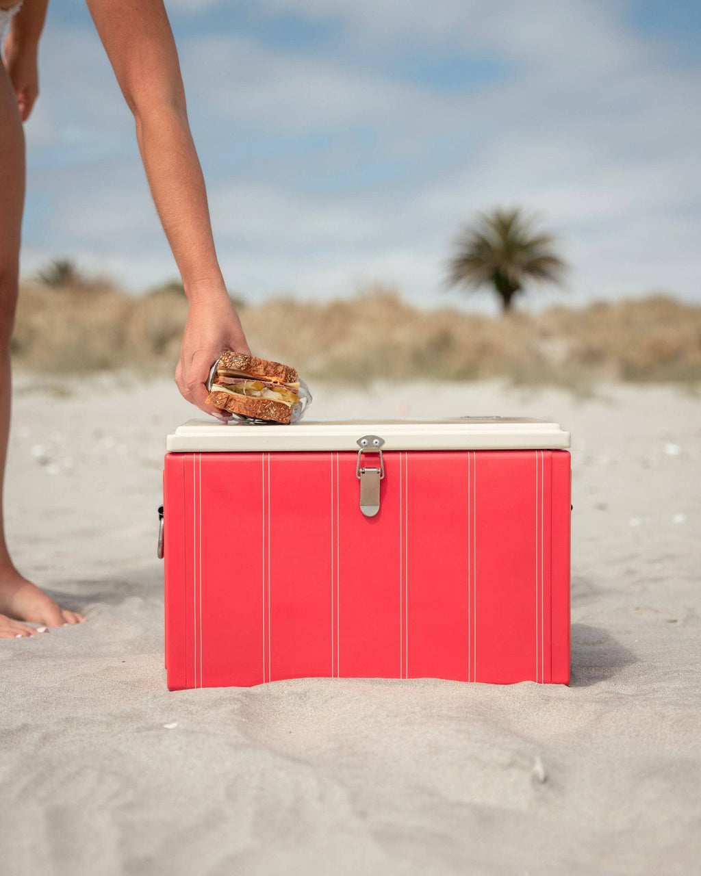 Napoleon Chilly Bin - Cherry Twin Stripe